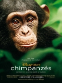 Chimpanzés, la critique du film