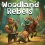 Woodland Rebels, la démo sera disponible à la fin du mois