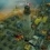 Shoretiles arrive le 3 septembre sur Steam