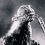 Godzilla : la nouvelle bande-annonce