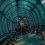 Le film Bioshock renaît de ses cendres
