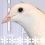 Hatoful Boyfriend vous fera aimer les pigeons sur Steam