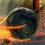 Rocket League : du foot et des voitures