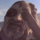 Un patch de Dying Light bloque les mods sur PC