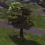 Cities : Skylines : Mieux que Sim-City, et dès le mois prochain ?