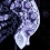 Axiom Verge vient gicler sur PS4 le mois prochain