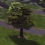 Cities Skylines : bientôt en boîte