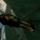 Ant Simulator : Jouez... une fourmi !