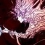 Final Fantasy Type O : The Last Truth, le livre !