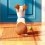 The Secret Life of Pets, la bande annonce