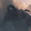 Breach & Clear Deadline : shoot, tactique et zombies