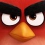 Angry Birds : Le film ! La bande-annonce !
