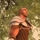 TEST : Kyn (PC)