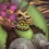 Zombie Vikings : morts vivants et hydromel