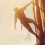 Crytek annonce The Climb, un jeu pour Oculus Rift