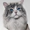 Les neuf vies de Mr Fuzzypants : Kevin Spacey est un chat