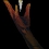 Devil Daggers : Un FPS façon années 90