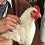 La chronique cinéma de Paf ! : Des hommes et des poulets