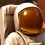 Earth Space Colonies : Mars vous tend les bras