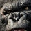 Kong : Skull Island, la bande annonce