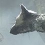 The Last Guardian n'est pas repoussé