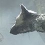 The Last Guardian arrive : la preuve en vidéo