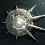Endless Space 2 est disponible