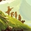 Dungeon Rushers : Plus de 5000 donjons gratuits et 50% de réduction