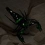 Insectophobia : L'invasion des insectes tueurs...