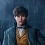 Les Animaux Fantastiques : Les Crimes de Grindelwald, bande-annonce