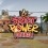 Street Power Football dans la street