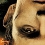 Chaos Walking, sortie directe en VOD