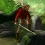 Quest for Infamy : un nouveau point & click sur Nintendo Switch