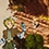 Terra Memoria, un jeu sur l'amitié (mais pas que)