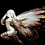 Bravely Default : Flying Fairy HD Remaster est précommandable