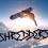 Shredders : une édition physique sur PlayStation 5