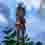 Lost Skies arrive officiellement le 17 Septembre