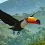 Planet Zoo 2 pour le 13 octobre