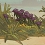 The Regreening, le jeu de construction cosy et écolo est sorti