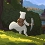 Demidoff Corp, un joli metroidvania en 2D