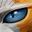 Warrior Cats: Clans of the Forest, un RPG avec des chats de combat