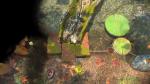 test du jeu vidéo {TITRE}