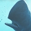 [Xbox One] Beyond Blue (PC, PS4, Xbox One)