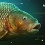 [Xbox One] The Catch : Carp & Coarse (PC, PS4, Xbox One)