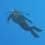 [Wii] Endless Ocean 2 (Wii)