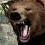 [Wii] Cabela’s Big Game Hunter 2010 (Wii)