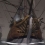  [Test] Empire Total War (PC)