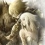 [Wii] Pandora's Tower (Wii)