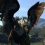  Dragon's Dogma (Xbox 360, PS3)