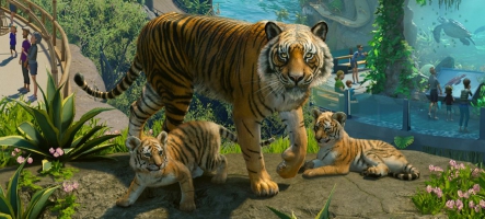 Planet Zoo 2, focus sur une des nouveautés du jeu